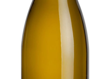 Domaine Chavy Saint-Aubin En Remilly 2017 For Discount