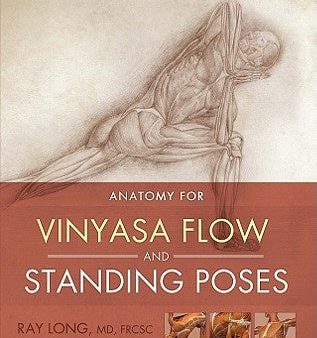 Anatomy for Vinyasa Flow and Standing Poses Online