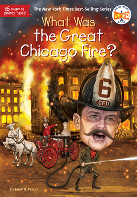 What Was the Great Chicago Fire? Online Sale