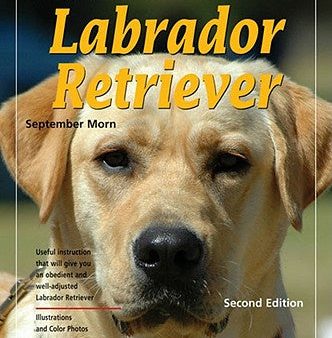 Training Your Labrador Retriever Sale