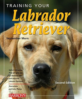 Training Your Labrador Retriever Sale