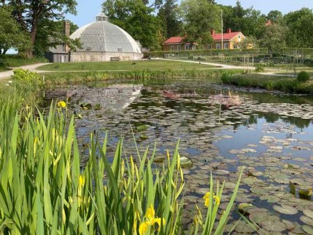 Bergianska trädgården - med rötterna i det historiska kulturlandskapet  Cheap