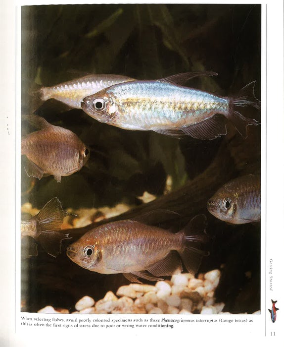 Aquariums And Aquarium Fish Online now