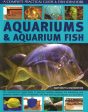 Aquariums And Aquarium Fish Online now