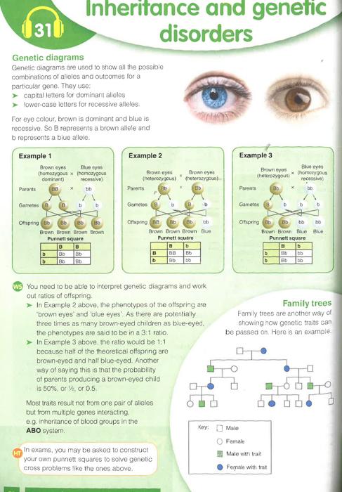 Aqa Gcse Biology Complete Revision & Practice (Letts Gcse 9-1 Revision Success) For Sale