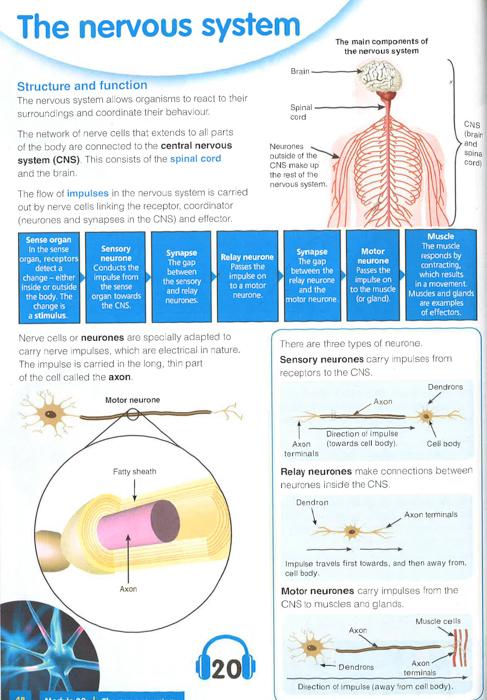 Aqa Gcse Biology Complete Revision & Practice (Letts Gcse 9-1 Revision Success) For Sale